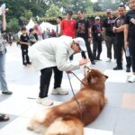 Bupati Tabanan Dr. I Komang Gede Sanjaya, S.E., M.M., bersama jajaran Pemerintah Kabupaten Tabanan Hadiri Singasana Dog Show