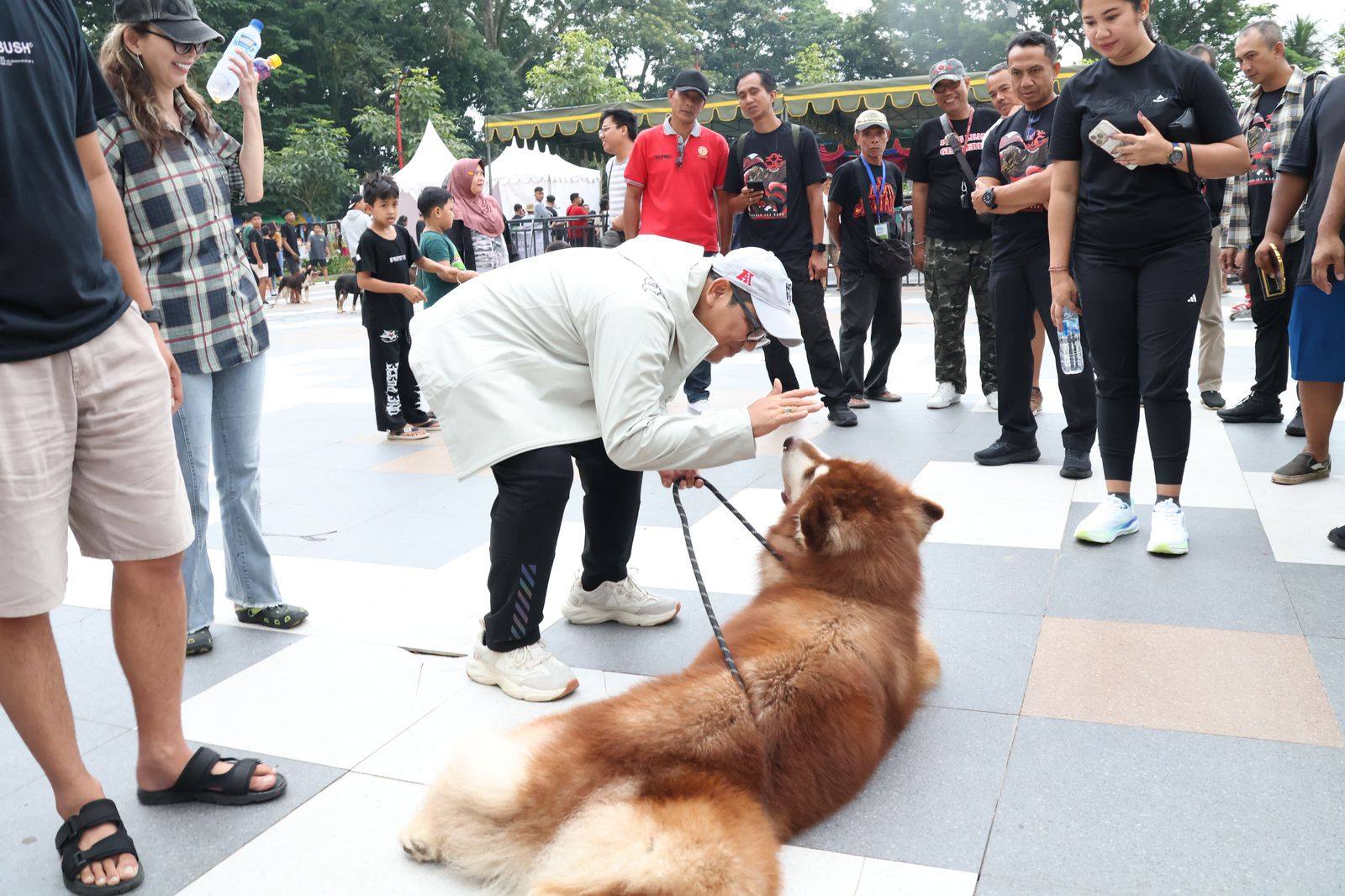 Bupati Tabanan Dr. I Komang Gede Sanjaya, S.E., M.M., bersama jajaran Pemerintah Kabupaten Tabanan Hadiri Singasana Dog Show