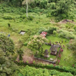 Pemerintah Kabupaten Tabanan Pastikan Tidak Ada Pembukaan Lahan di Sekitar Pura Kayu Sugih